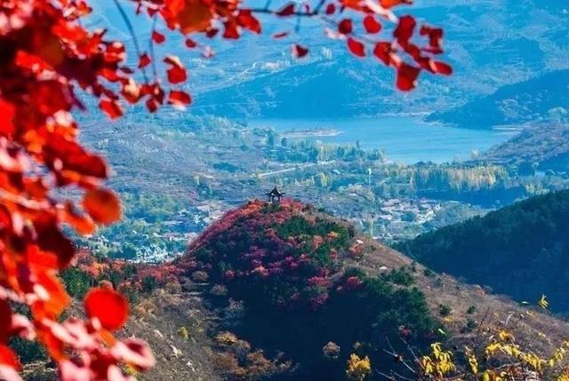 济南旅游景点推荐带孩子玩,济南旅游景点推荐适合带孩子