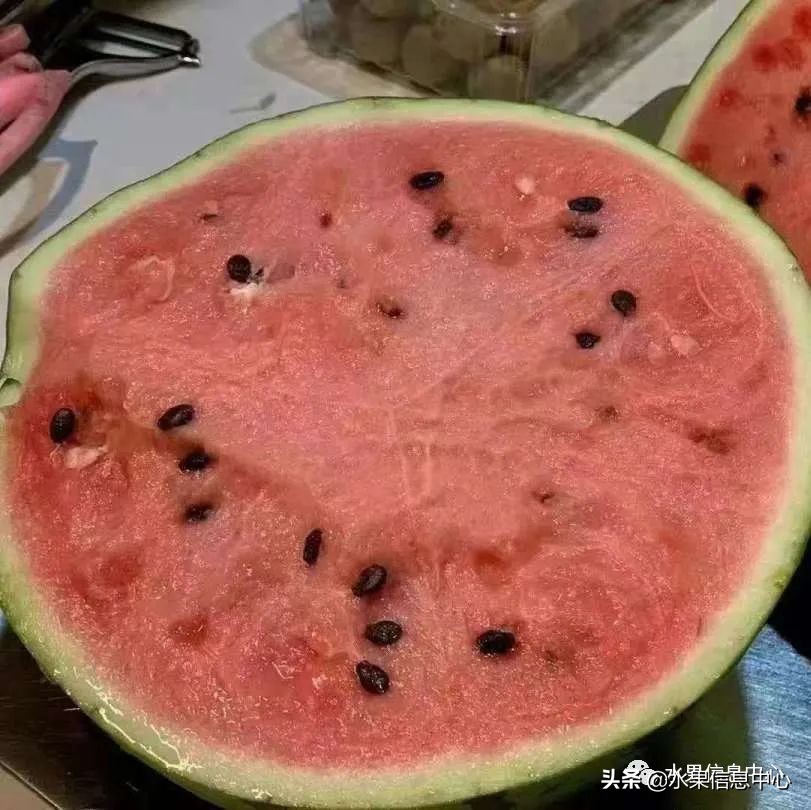 海南水果都有哪些品种图片及名称,海南水果上市时间表赶快收藏吧