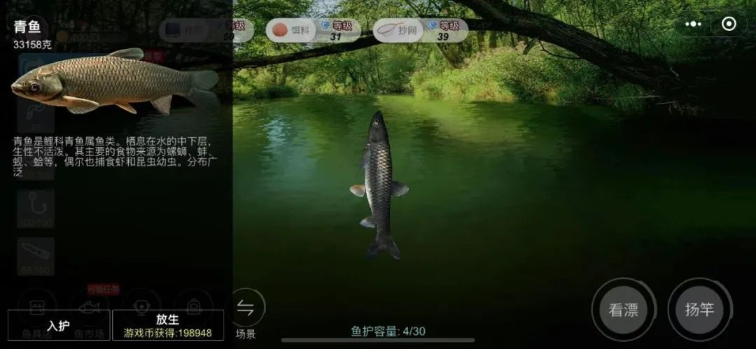 实况钓鱼新手池怎么钓稀有鱼,实况钓鱼钓巨物视频