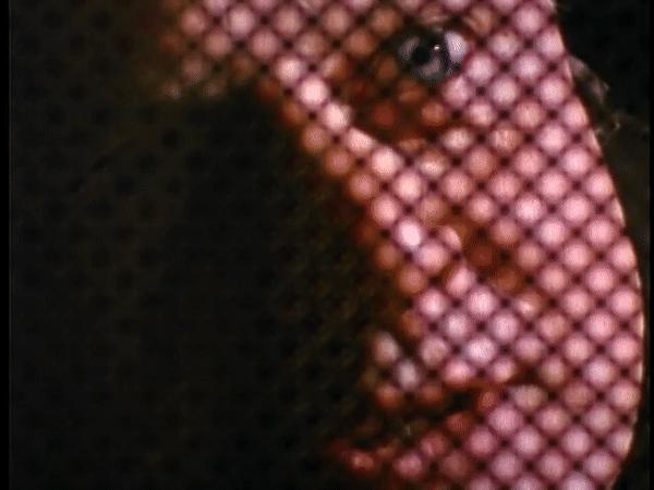 众生皆苦唯有自渡和自己和解,众生皆苦唯有自渡的出处