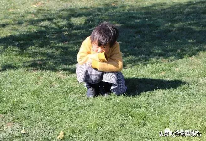 太热闹!弥勒花海、人海、车海、舞海...这些人上镜了!