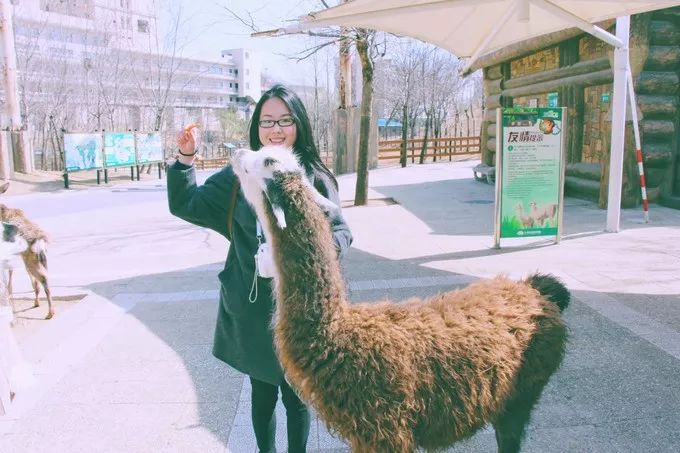 大连回到20年前,大连回到了故乡烟台