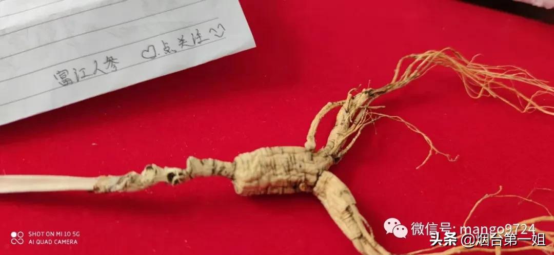 营养粥人参鹿茸,人参鹿茸玛卡鸡汤