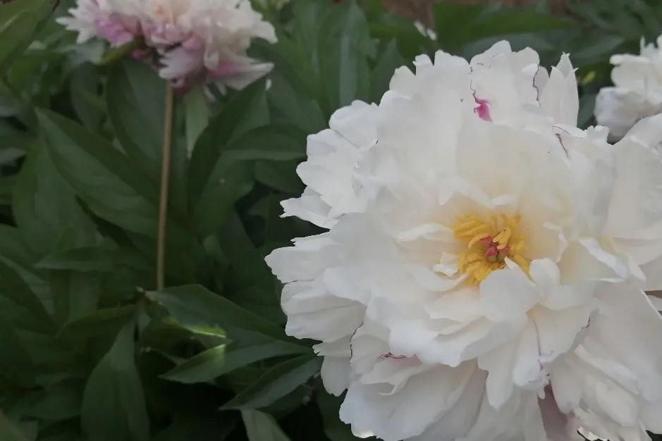 旅行结束回来继续努力,旅行恢复生命力