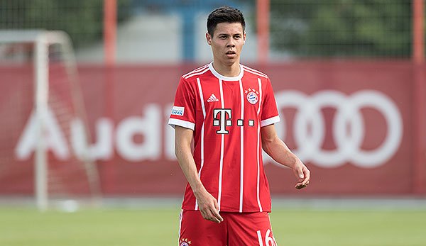 菲律宾归化,菲律宾归化了多少球员