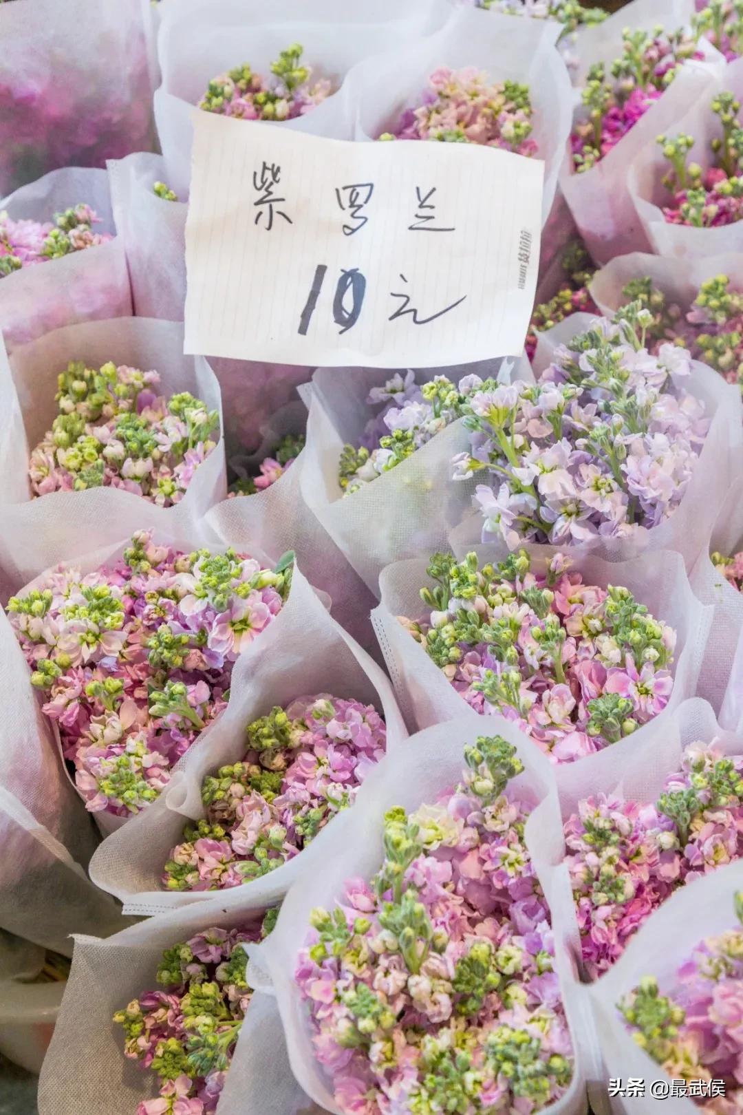 成都便宜的大花市,成都街边卖花一元一束