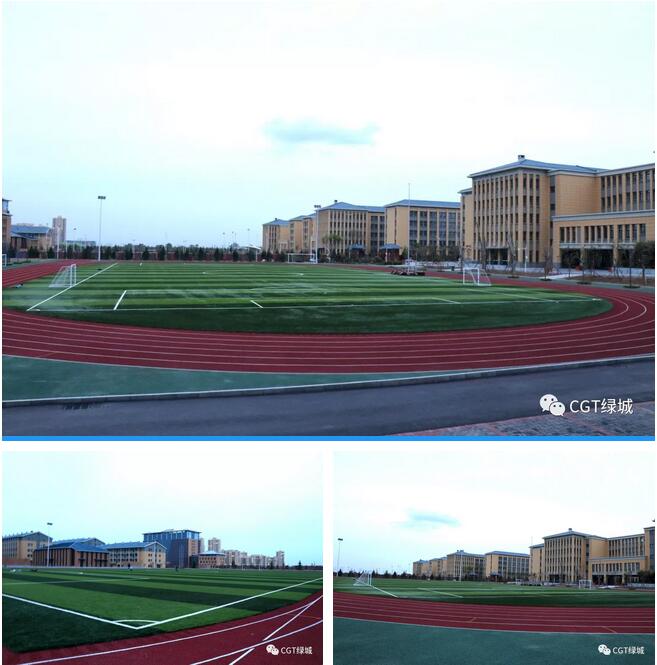 国外人造草坪足球场,高端人造草足球场