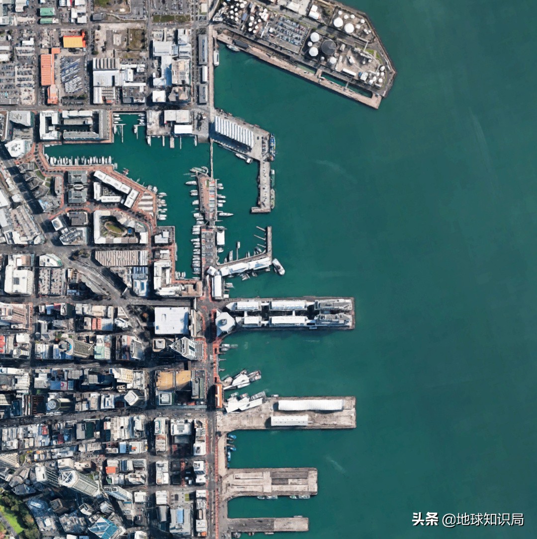 新西兰为什么要吸引人移民,新西兰为什么引进移民