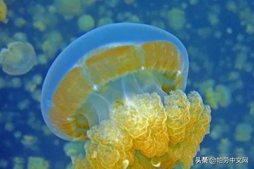 还没有被发现的岛屿,又挖到5个福建的小众绝美海岛