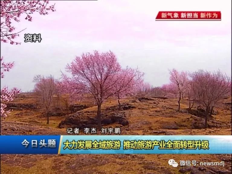 大力发展旅游文化,全域旅游推动文旅产业加快发展