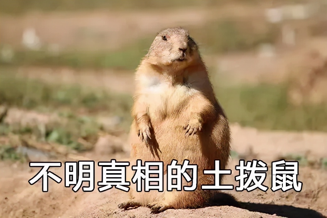 现在苹果发布了iphone13了吗,刚刚发布的iphone手机