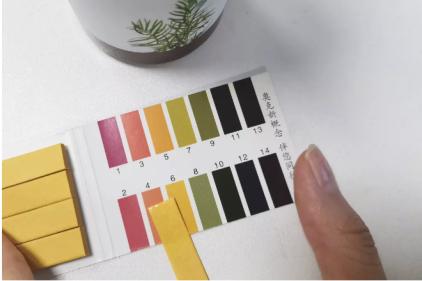 头发蓬松茶树油洗发水,油头救星澳洲茶树洗发水