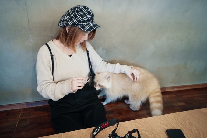 去韩国必买清单,韩国购物攻略衣服