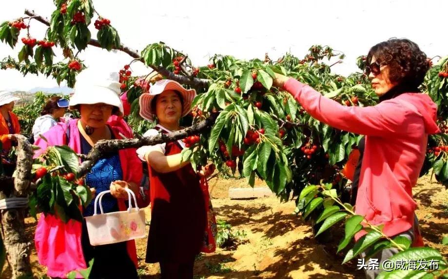 威海端午节去哪里旅游最合适,威海端午