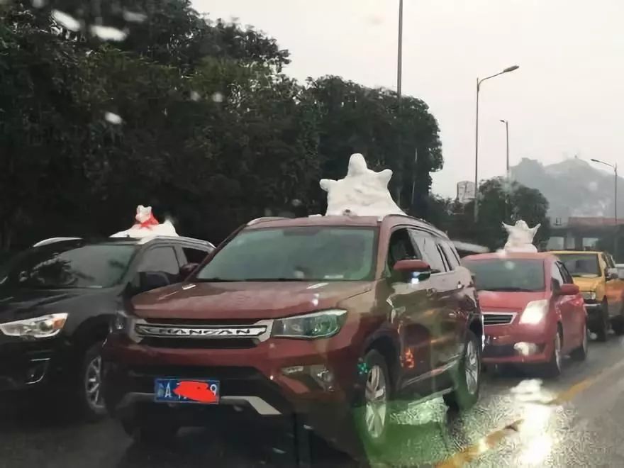 公园回应大妈路边卖雪,大妈卖雪5元一盆