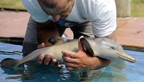 漂亮可爱的小动物萌照,动物宝宝可爱萌照