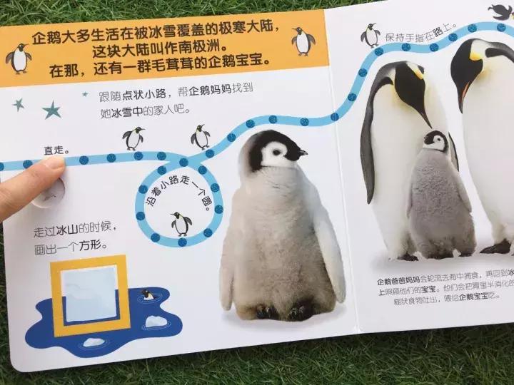 儿童dk哪些书籍值得买,dk儿童书籍推荐