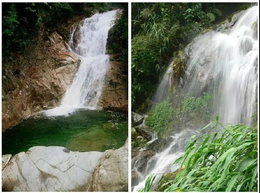 九州驿站英德天门沟树屋住宿价格,清远天门沟九州驿站