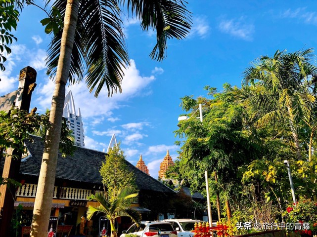 西双版纳景洪城攻略 (西双版纳景洪告庄夜市美景)
