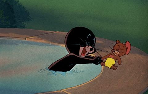 男女礼仪握手常识,握手的礼仪常识和讲究