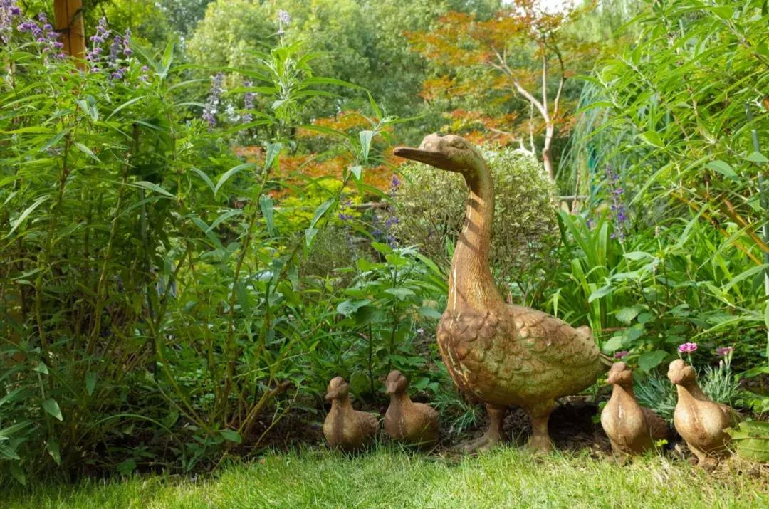 她40岁之前忙成狗，40岁之后在上海买房隐居