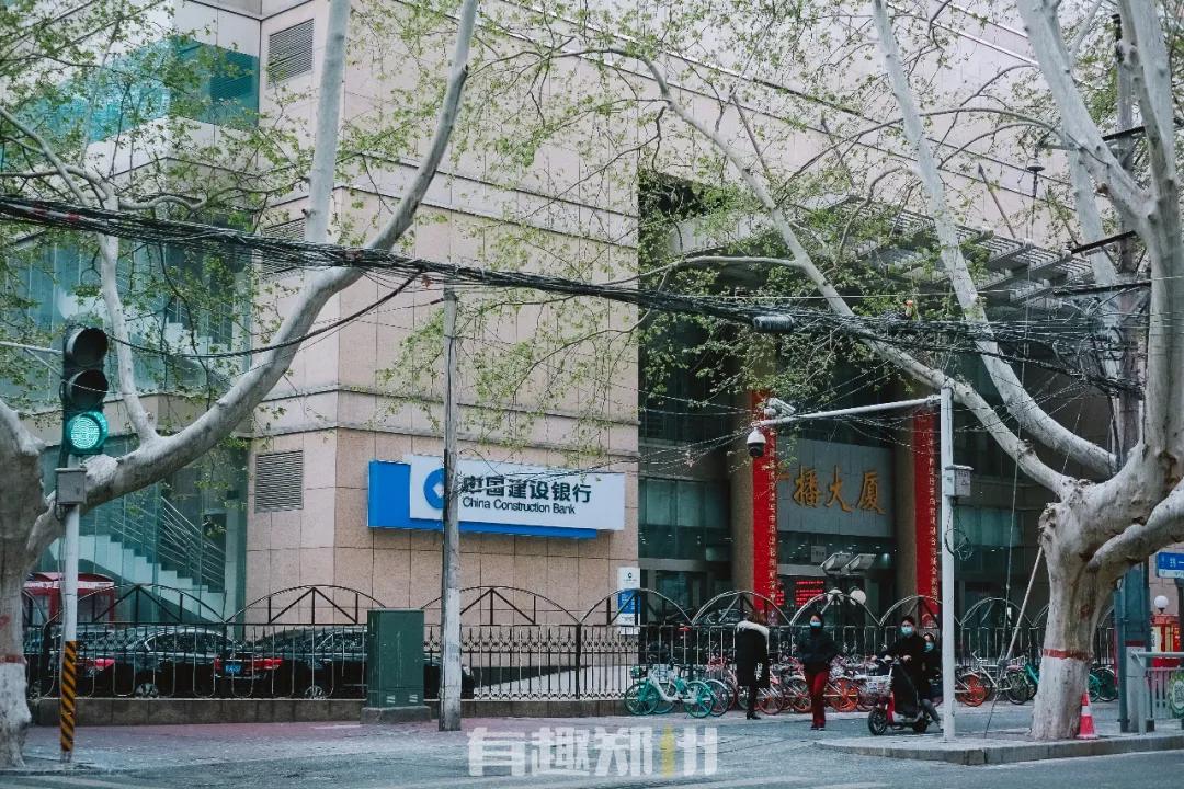 纬一路：在遮天的法桐里想起龙门书店的往事，以及家属院时光……