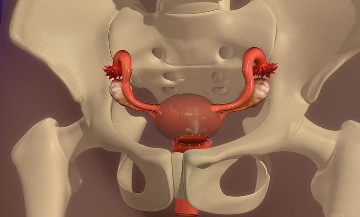 戴安全套还会感染hpv吗？