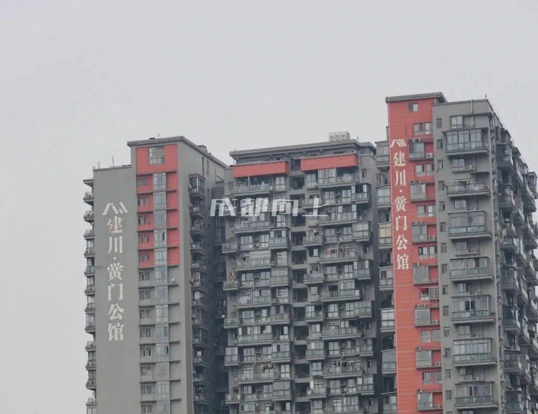 如何让成都变东京？网友：大LOGO收敛点