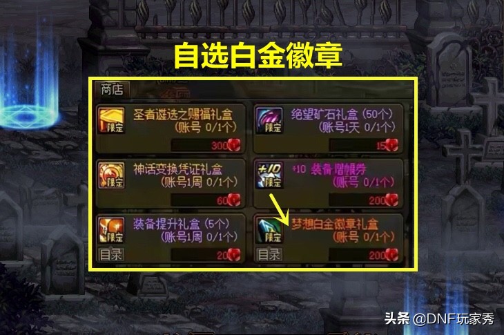 dnf全职业白金徽章怎么获得,dnf全职业特别奖励