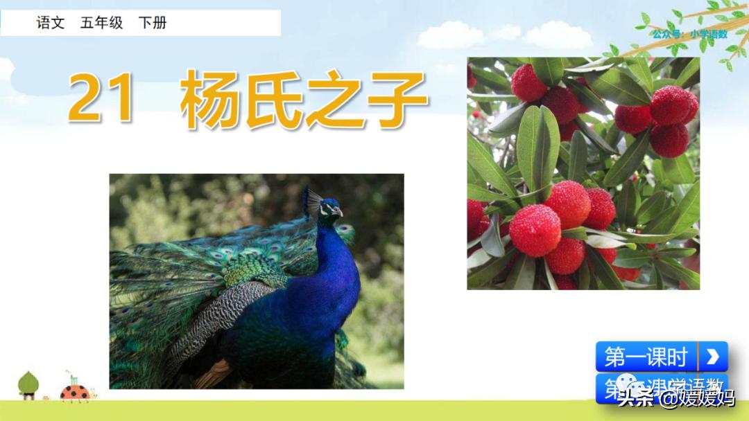 五年级下册第八单元杨氏之子批注,五年级下册杨氏之子的课堂笔记