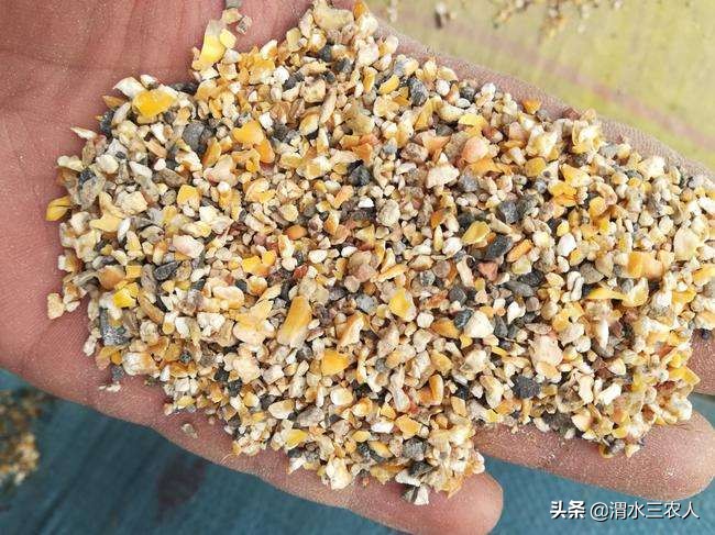 养羊困难怎么办,养羊亏损惨重