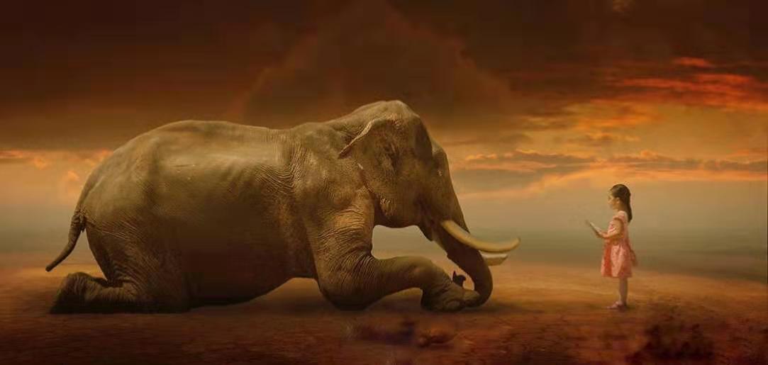 与君初相识犹似故人归朗读,与君初相识犹似故人归下句