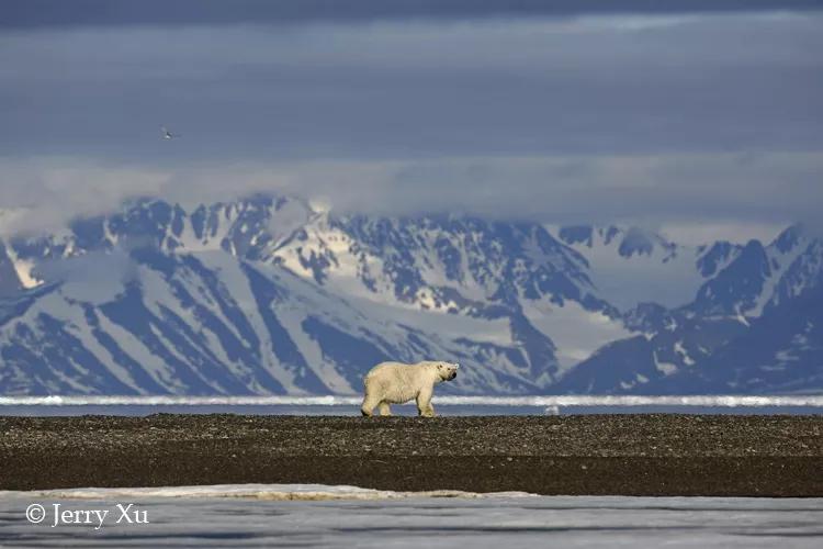 瀹氬埗鍒涙剰鏃呰,鍒涙剰瀹氬埗鏃呰