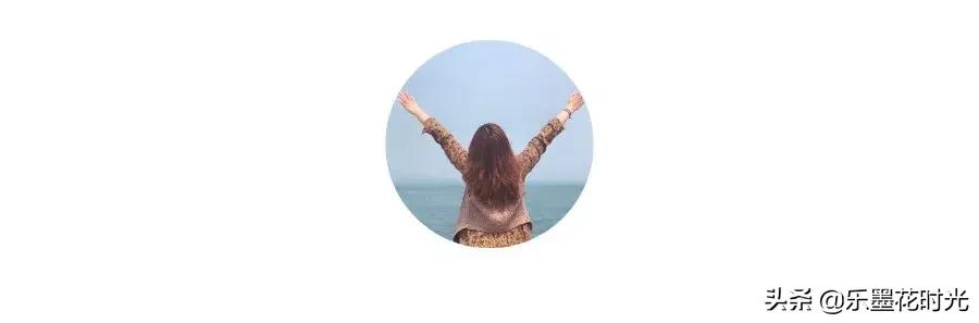 乐墨花时光丨她为什么一周可以卖出400份包月花？这里给你答案