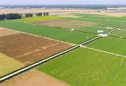 农业补贴一卡通怎么查,农业补贴领取手续