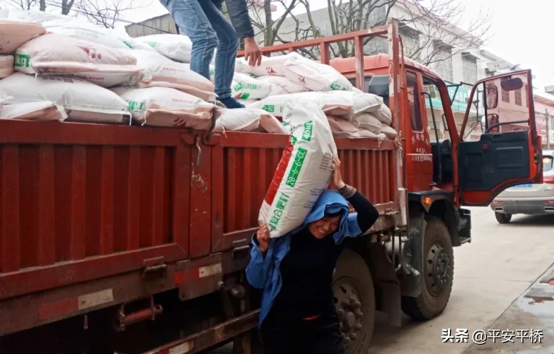 临渭区防疫不放松春耕工作,防控疫情不松劲春耕备耕不停歇