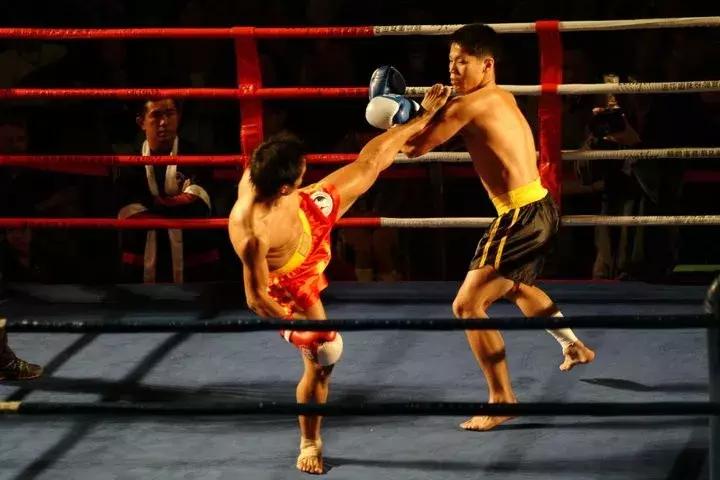 为什么女生适合学散打,跆拳道和散打哪个适合女生