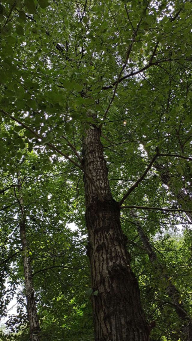 <html>
<head><title>502BadGateway</title></head>
<body>
<center><h1>502BadGateway</h1></center>
<hr><center>nginx</center>
</body>
</html>
<!--apaddingtodisableMSIEandChromefriendlyerrorpage-->
<!--apaddingtodisableMSIEandChromefriendlyerrorpage-->
<!--apaddingtodisableMSIEandChromefriendlyerrorpage-->
<!--apaddingtodisableMSIEandChromefriendlyerrorpage-->
<!--apaddingtodisableMSIEandChromefriendlyerrorpage-->
<!--apaddingtodisableMSIEandChromefriendlyerrorpage-->
