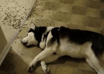 雪花秀雪御活颜菁萃水面霜,雪花秀雪御活颜精萃水