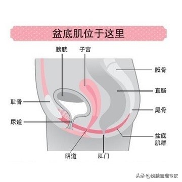 产后会尿失禁吗,产后尿失禁普遍吗
