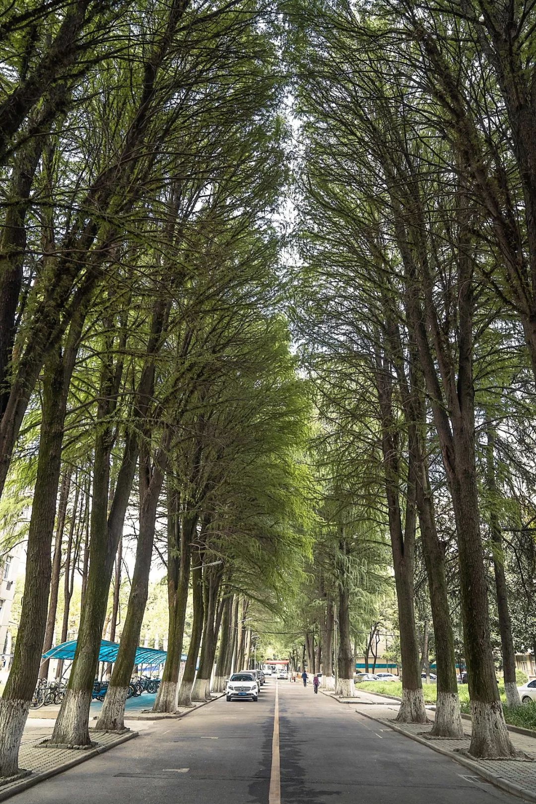 武科大算什么档次,武科大属于什么水平