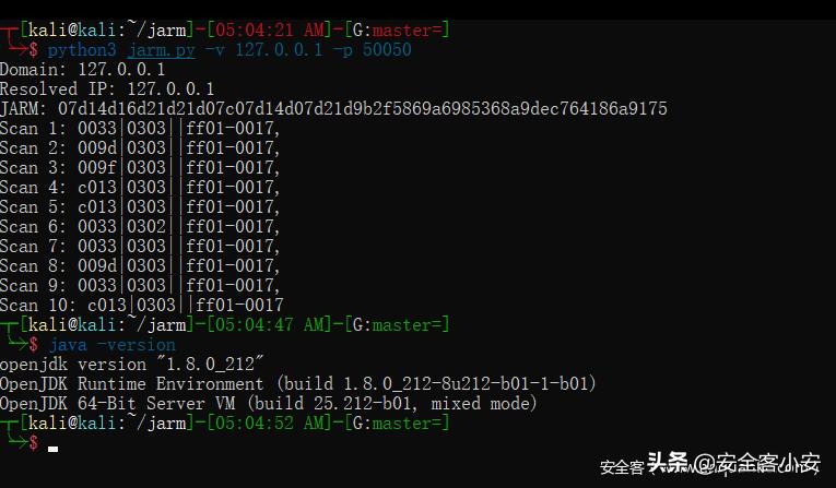 利用JARM指纹进行TLS服务端标记