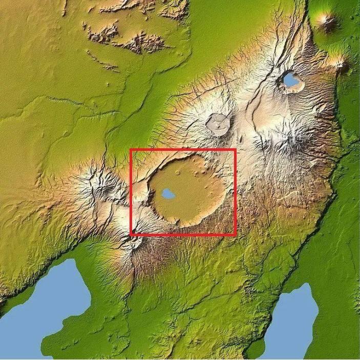 动物为什么要远离人类,为啥动物会主动远离人