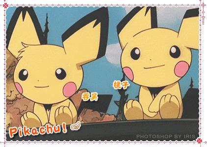 不负德阳三月好*光春**，换上安全耐扎的中橡狼牌轮胎，称霸朋友圈