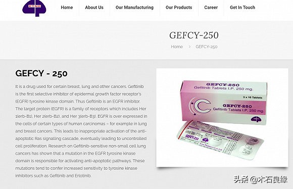 仿制药印度市场,印度仿制药陷造假风波