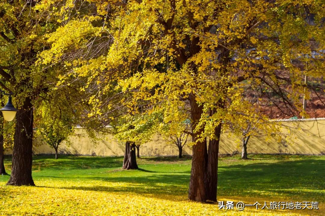 大连最浪漫的十个地方,大连浪漫景色
