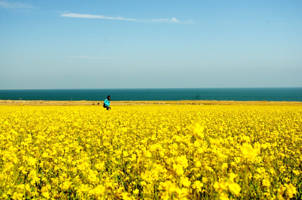 自驾青海沙漠旅游路线攻略,青海七彩丹霞自驾游攻略