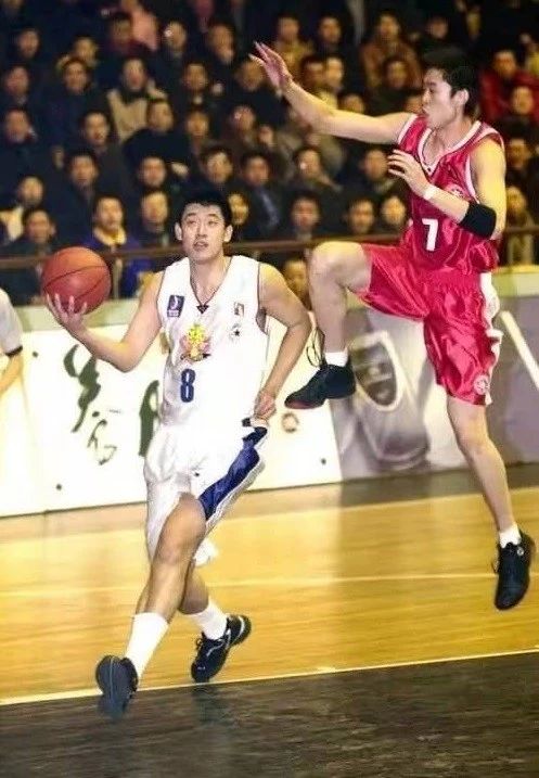 张卫平篮球集锦,张卫平为什么告别篮球