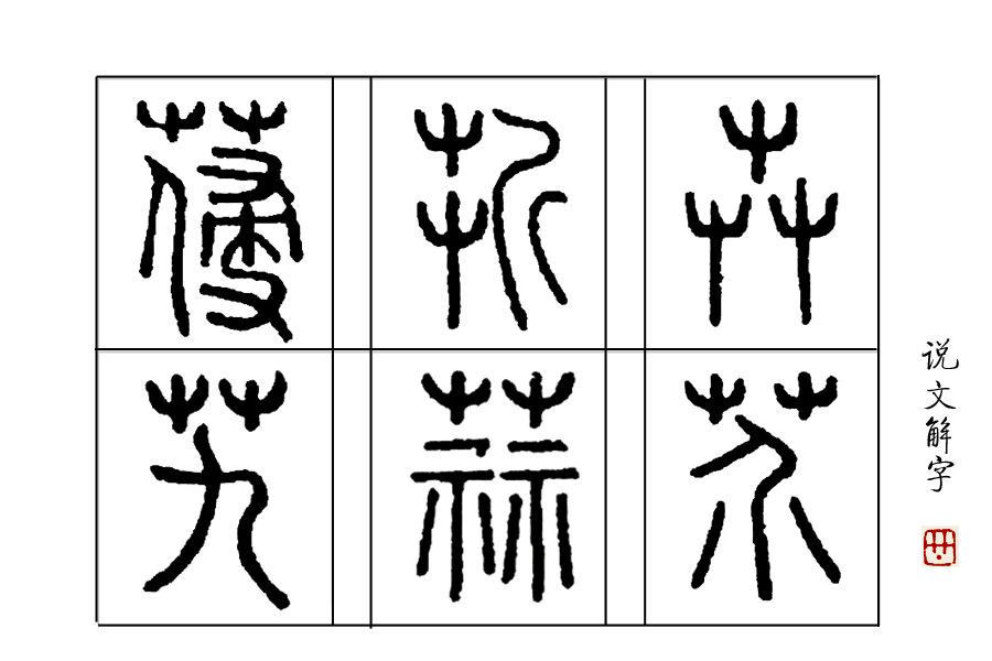 诗经卉木萋萋,卉木萋萋仓庚喈喈采蘩祁祁读音