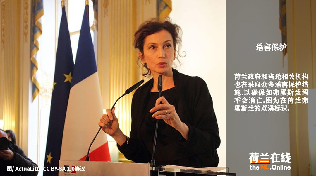 荷兰语到底有什么难,荷兰人说荷兰语吗怎么说